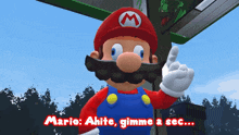 Smg4 Mario GIF - Smg4 Mario Ahite Gimme A Sec GIFs