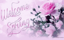 Welcome Spring Spring Flowers GIF - Welcome Spring Spring Flowers Sparkle GIFs
