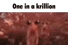 Krillion A GIF