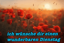a field of red flowers with the words ich wünsche dir einen wunderbaren dienstag in blue