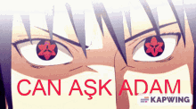Can Ask Adam GIF