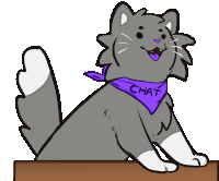 Chat Cat Sticker