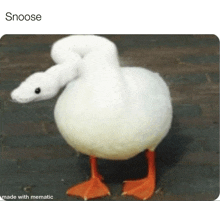 Goose Snake GIF - Goose Snake Snoose GIFs