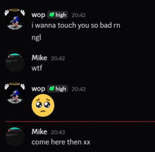 a screenshot of a conversation between mike and wop