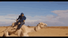 Camel Race GIF - Camel Race GIFs