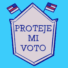 Proteje Mi Vote Protect My Vote GIF - Proteje Mi Vote Protect My Vote Election Night2020 GIFs