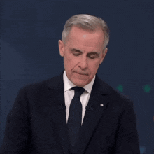 a man in a suit and tie has a badge on his jacket that says ' canadian '