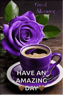 a purple cup of coffee and a purple rose on a saucer with the words `` good morning have an amazing day '' .