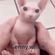 Genny When Genny GIF - Genny When Genny GIFs