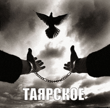 a black and white photo of a person 's hands chained to a chain with a bird flying in the background .
