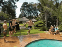 Belly Flop GIF