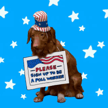 Uncle Sam Election Season GIF - Uncle Sam Election Season Election GIFs
