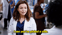 Greys Anatomy Amelia Shepherd GIF - Greys Anatomy Amelia Shepherd I See Youve Picked A Side GIFs