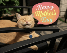 a cat laying on a chair with a happy mother 's day speech bubble