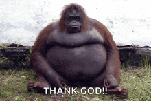 a very fat orangutan sits in the grass with the words thank god below it