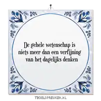 a blue and white tile with the words de gehele wetenschap is niets meer dan een ver fijnning van het dagelijks denken