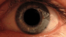eyes dilate pupil