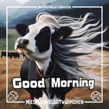 a picture of a cow with a good morning message on it