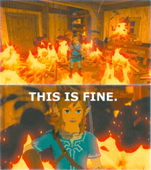 Zelda Link GIF - Zelda Link Thisisfine GIFs
