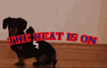 The Heat Is On GIF