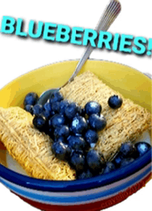 blueberries shredded