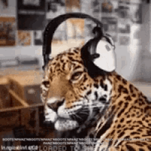 Leopard Listening GIF - Leopard Listening Music GIFs
