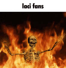 a skeleton is standing in front of a fire with the words laci fans above him