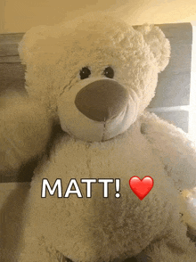a white teddy bear with a red heart says matt
