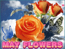 a may flowers greeting card with roses and butterflies in the rain