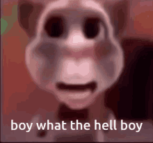 Boy What The Hell Boy Hell GIF - Boy What The Hell Boy Hell Talking Tom GIFs