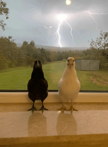 two birds standing on a window sill looking out at a lightning storm