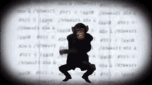 cyriak chimpanzee chimp dance monkey