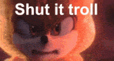 a close up of a cartoon character with the words " shut it troll " above it