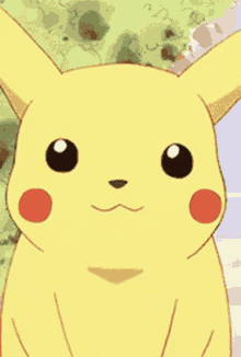 Cute Pikachu GIFs | Tenor