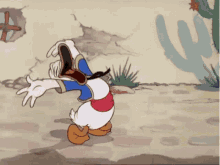 Laugh Donald Donald Duck GIF - Laugh Donald Donald Duck Disney GIFs