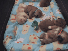 Sleepy Puppies GIF - Sleeping GIFs