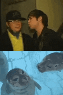two men are standing next to each other and a seal is looking at the camera