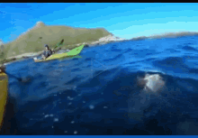 Seal Kayak GIF - Seal Kayak GIFs