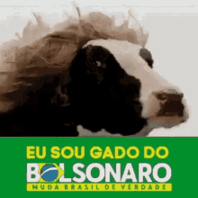 Bolsoburro Brasil GIF - Bolsoburro Brasil Brazil GIFs