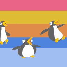 penguins hopping rainbow