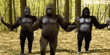 Gorilla Ape GIF - Gorilla Ape Dancing GIFs