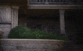 a brick building with a bush in front of the door