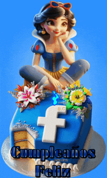 a birthday cake with a facebook logo and a princess on top