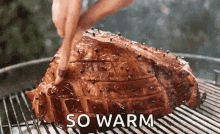 Ham So Warm GIF - Ham So Warm Cooking GIFs