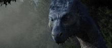 a close up of a dragon 's face with a very angry look on its face