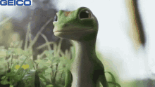 Gecko Geico GIF - Gecko Geico Thinking GIFs