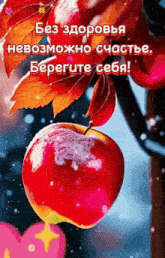 a red apple with snow on it is hanging from a tree branch .