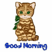 Good Morning Kitty GIF - Good Morning Kitty Cat GIFs