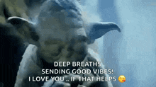 yoda is smoking a cigarette and saying deep breaths sending good vibes i love you if that helps