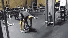 ab wheel abs hard workout gym